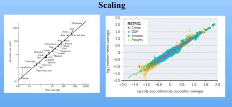 scaling-biology-cities